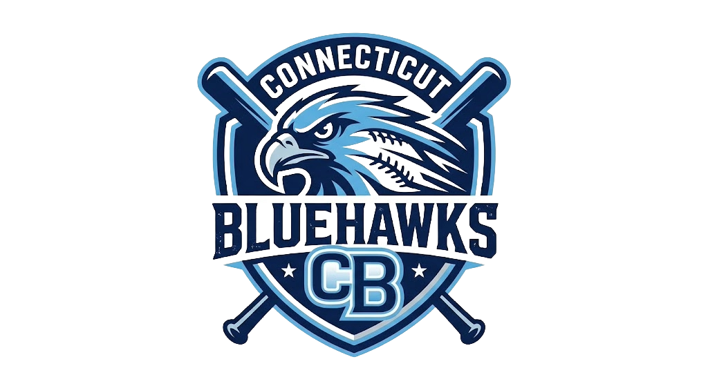 Bluehawks Logo